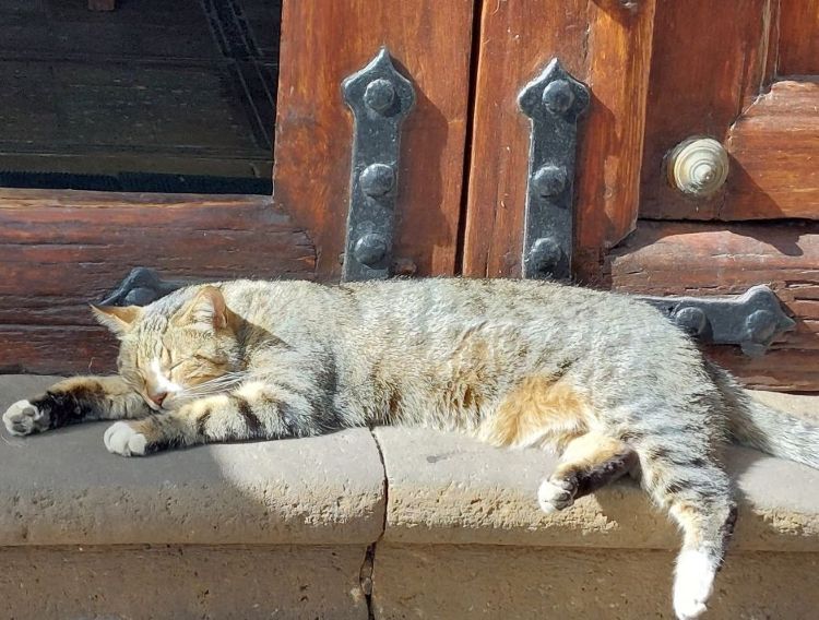 Erholung gut Schlafen Kinesiologie Hegner