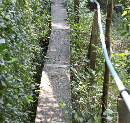 Klarheit für eigenen Weg Kinesiologie Muskeltest